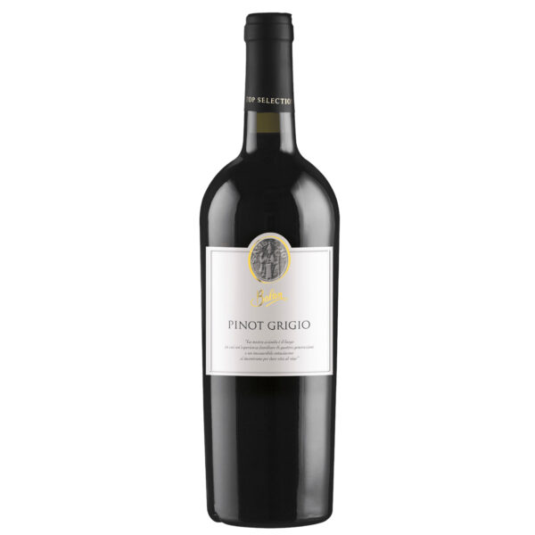 Pinot Grigio Delle Venezie Doc 2021