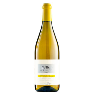 Sauvignon Isonzo 2019